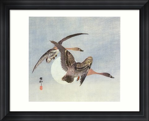 Framed on the Wing Print