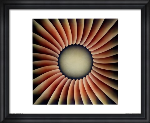 Framed Through the Flower Print