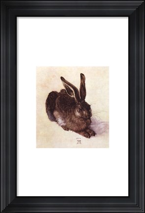 Framed Young Hare Print
