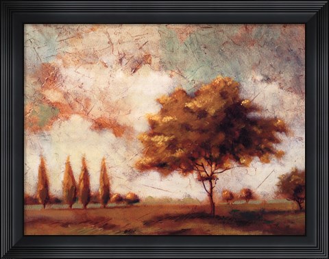 Framed Tuscan Afternoon I Print