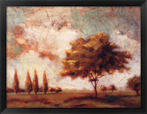 Framed Tuscan Afternoon I Print