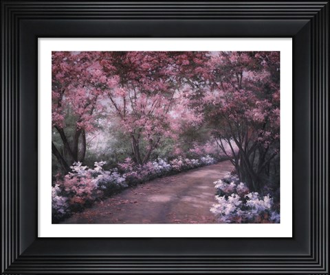 Framed Azalea Walk Print