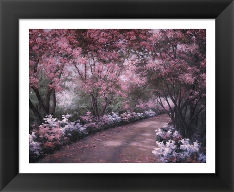 Framed Azalea Walk Print