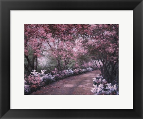 Framed Azalea Walk Print