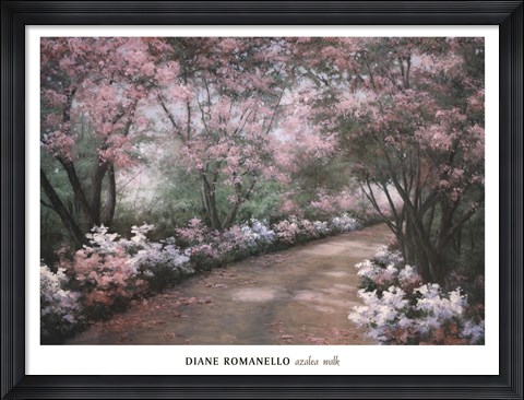 Framed Azalea Walk Print