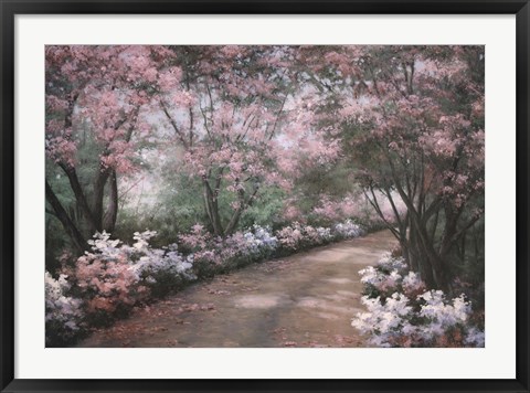 Framed Azalea Walk Print