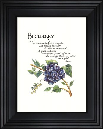 Framed Blueberry Print