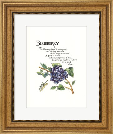Framed Blueberry Print