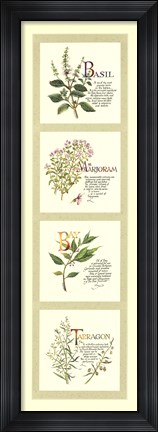Framed Kitchen Herbs I Print