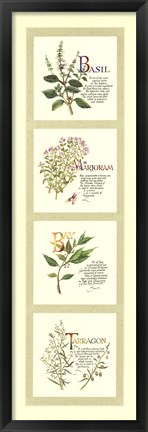 Framed Kitchen Herbs I Print