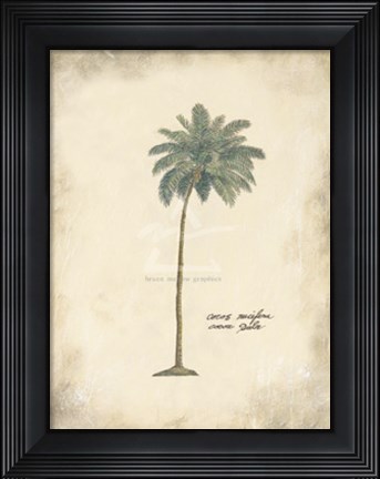 Framed Cocoa Palm Print