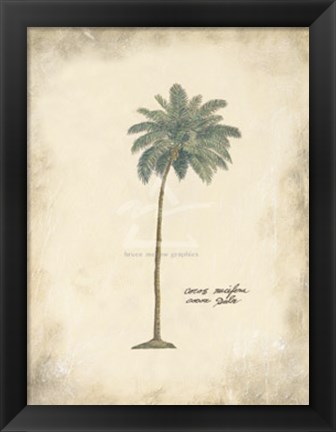 Framed Cocoa Palm Print