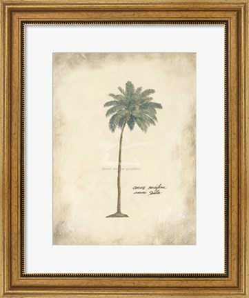 Framed Cocoa Palm Print