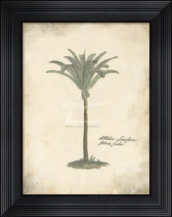 Framed Fibres Palm Print