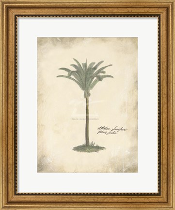 Framed Fibres Palm Print