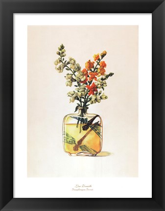 Framed Snapdragon Scent Print