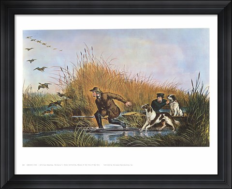 Framed Wild Duck Shooting Print