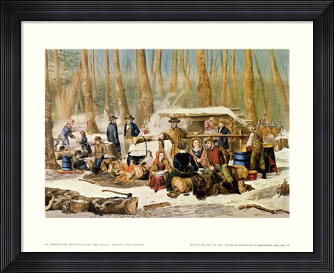 Framed American Forest Scenes Print