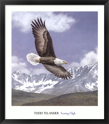 Framed Soaring High Print