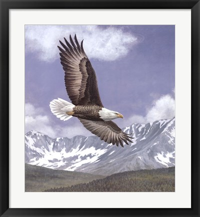 Framed Soaring High Print