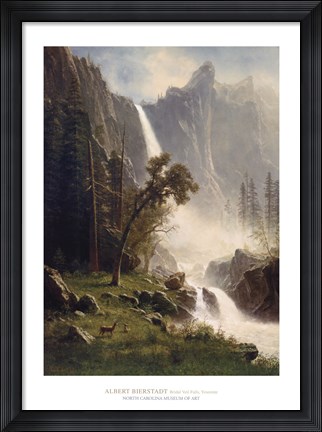 Framed Bridal Veil Falls, Yosemite Print