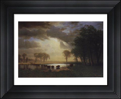 Framed Buffalo Trail, c.1867 Print