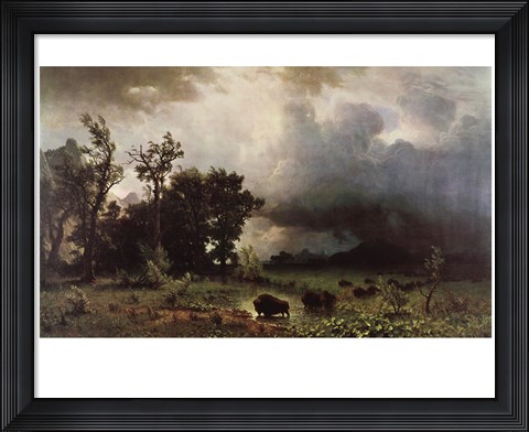 Framed Buffalo Trail Print