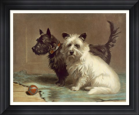 Framed Scotty and Khaki Print