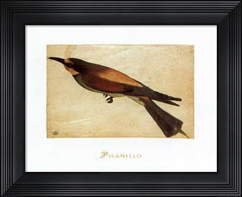 Framed Gruccione Print