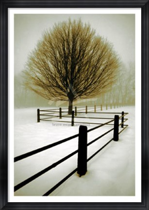 Framed Solitude Print