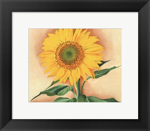 Framed Sunflower from Maggie, 1937 Print