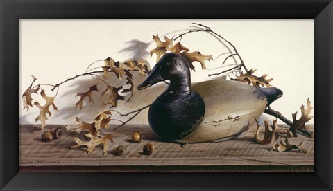 Framed Chesapeake Bay Canvasback Print