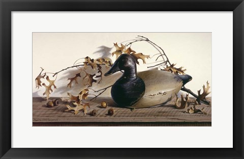 Framed Chesapeake Bay Canvasback Print