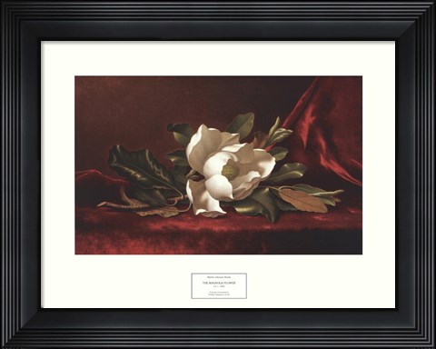 Framed Magnolia Flower Print