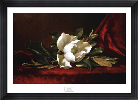 Framed Magnolia Flower Print