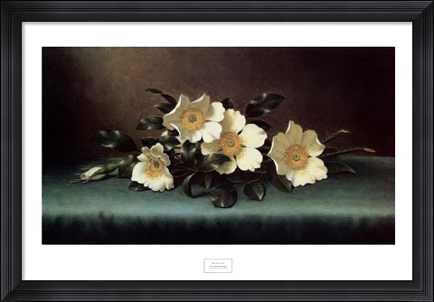 Framed Four Cherokee Roses Print