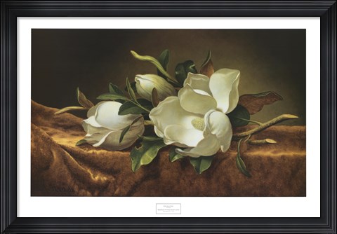 Framed Magnolias on Gold Velvet Cloth Print