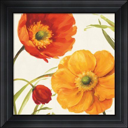 Framed Poppies Melody II Print