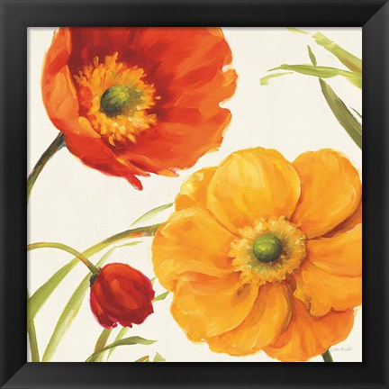 Framed Poppies Melody II Print