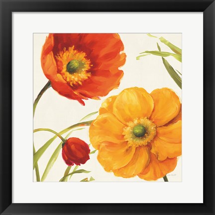 Framed Poppies Melody II Print