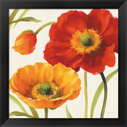 Framed Poppies Melody III Print