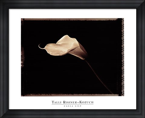 Framed Calla Lily Print