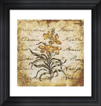 Framed Yellow Petit Botanical Print