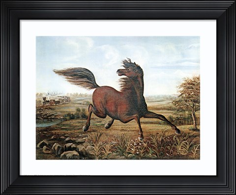 Framed Neigh of an Iron Horse Print