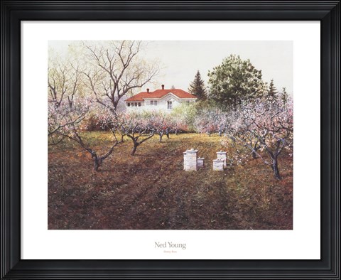 Framed Honey Bees Print