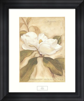 Framed Magnolia Print