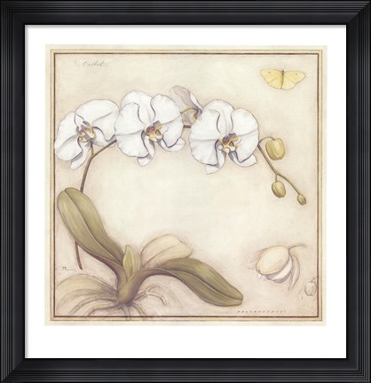 Framed White Orchid Print