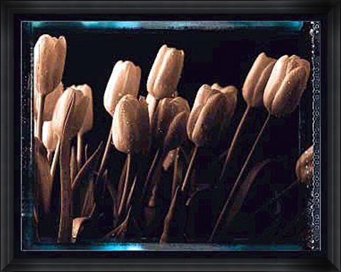 Framed Tulips Print