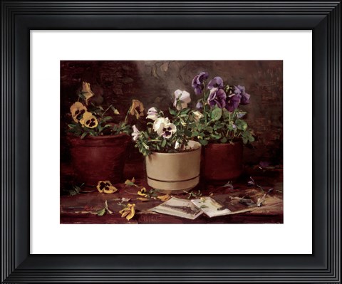 Framed Pansies in Terra Cotta Print