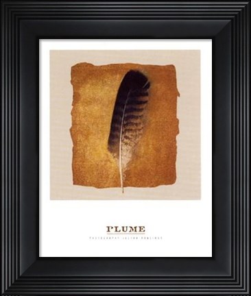 Framed Plume Print
